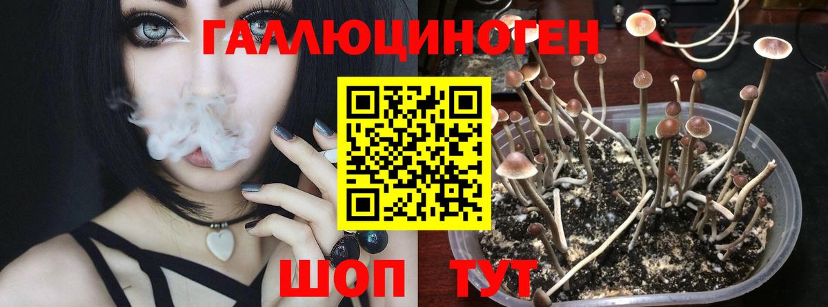 Галлюциногенные грибы мухоморы  Вход с VPN  Камышлов 